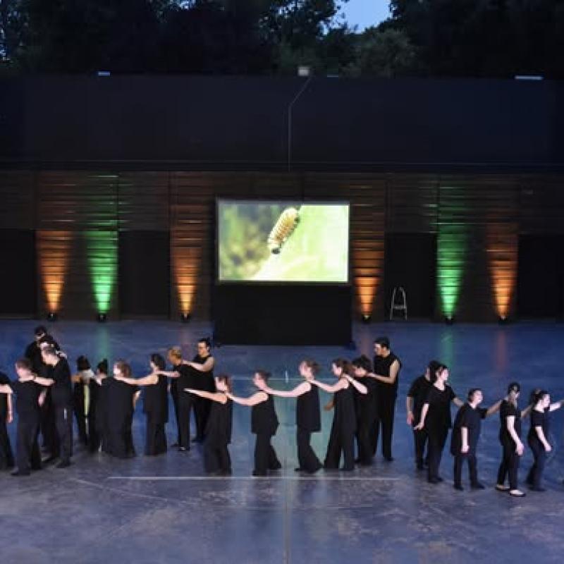 Παράσταση “The Butterfly Effect” από την Ομάδα Χοροθεάτρου του Φορέα μας